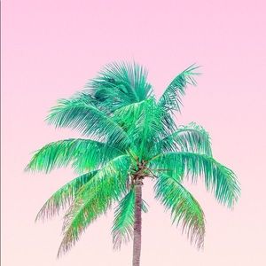 Meet your Posher, Ellen